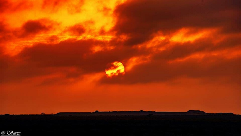 Travel Photography Tips: Taking Great Pictures Across The Nullarbor