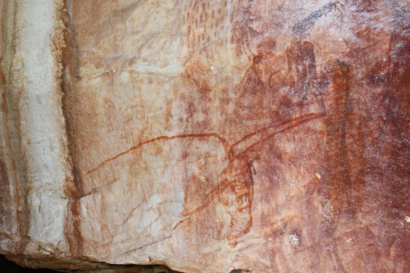 Make the Nullarbor trip an educational journey