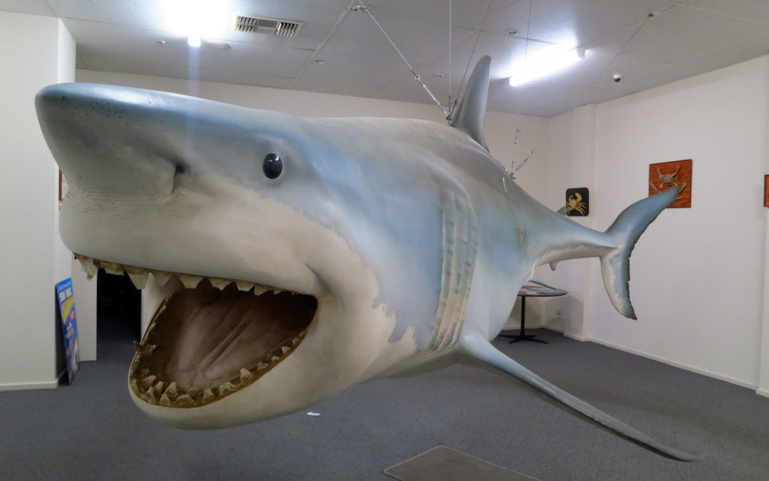 Tourist Attraction: Streaky Bay