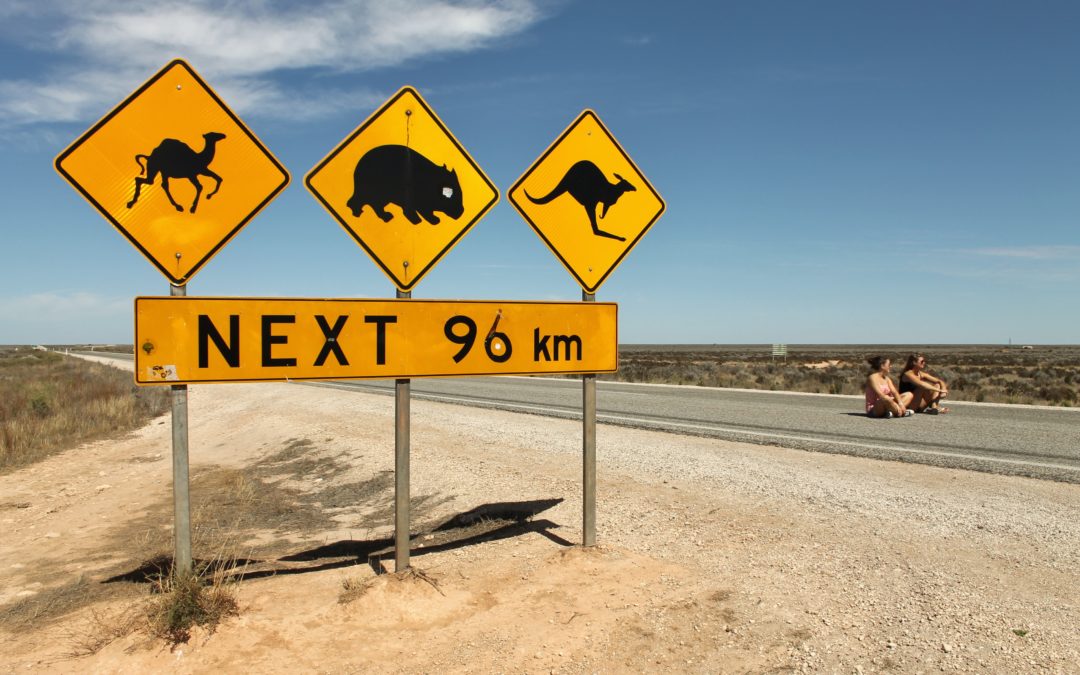 The Roadtrains in Eyre — Dancing with the Kings of the Road