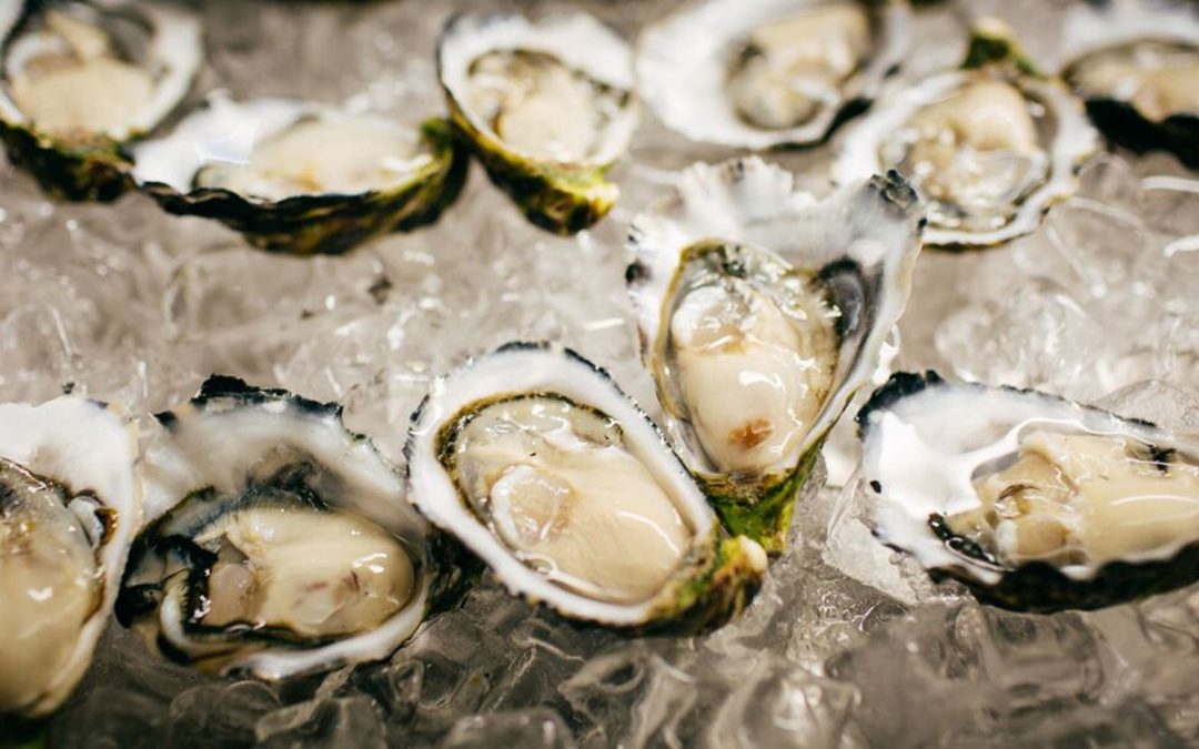 Joining the Fresh and Fun Ceduna Oysterfest