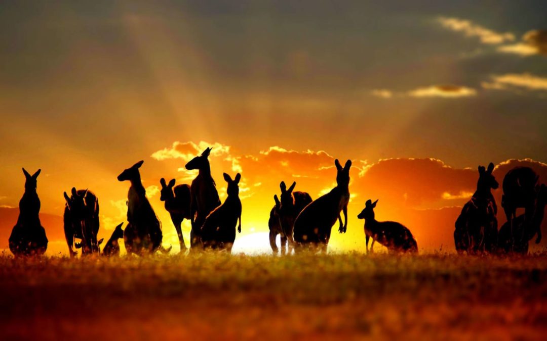 5 Travel Resolutions For Aussie Backpackers In 2016