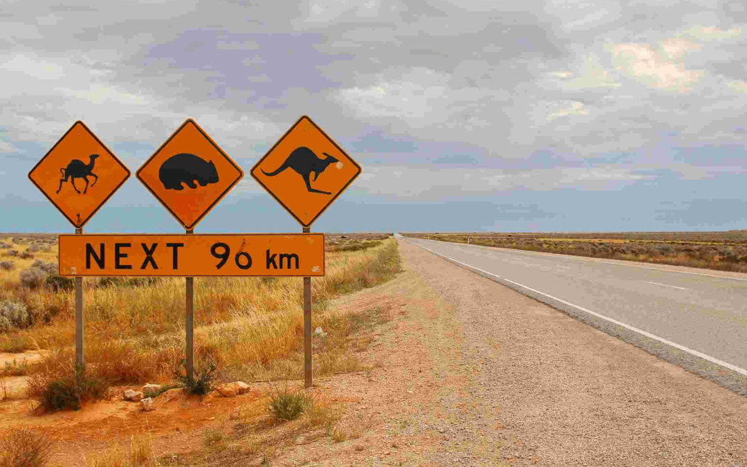 Hidden secrets on the Nullarbor Plain. UFO edition.