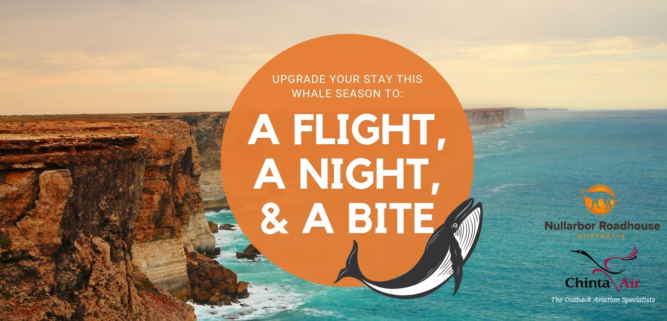 A FLIGHT, A NIGHT, & A BITE WEBSITE